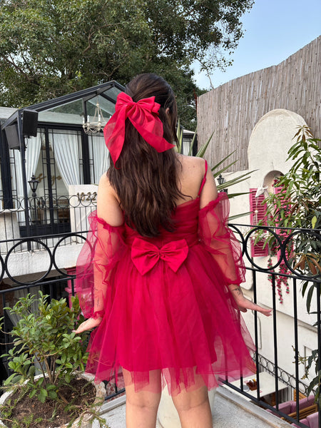 Ruby Tulle Dress